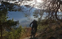 VTT Downhill Freeride en Valais