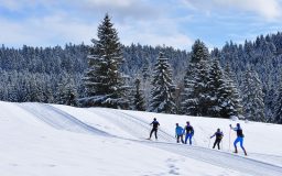 Ski de fond, skating